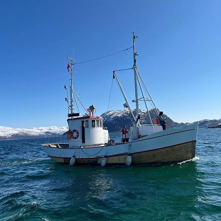 Appartamento Maribell Sjobuer As Tromsø Esterno foto