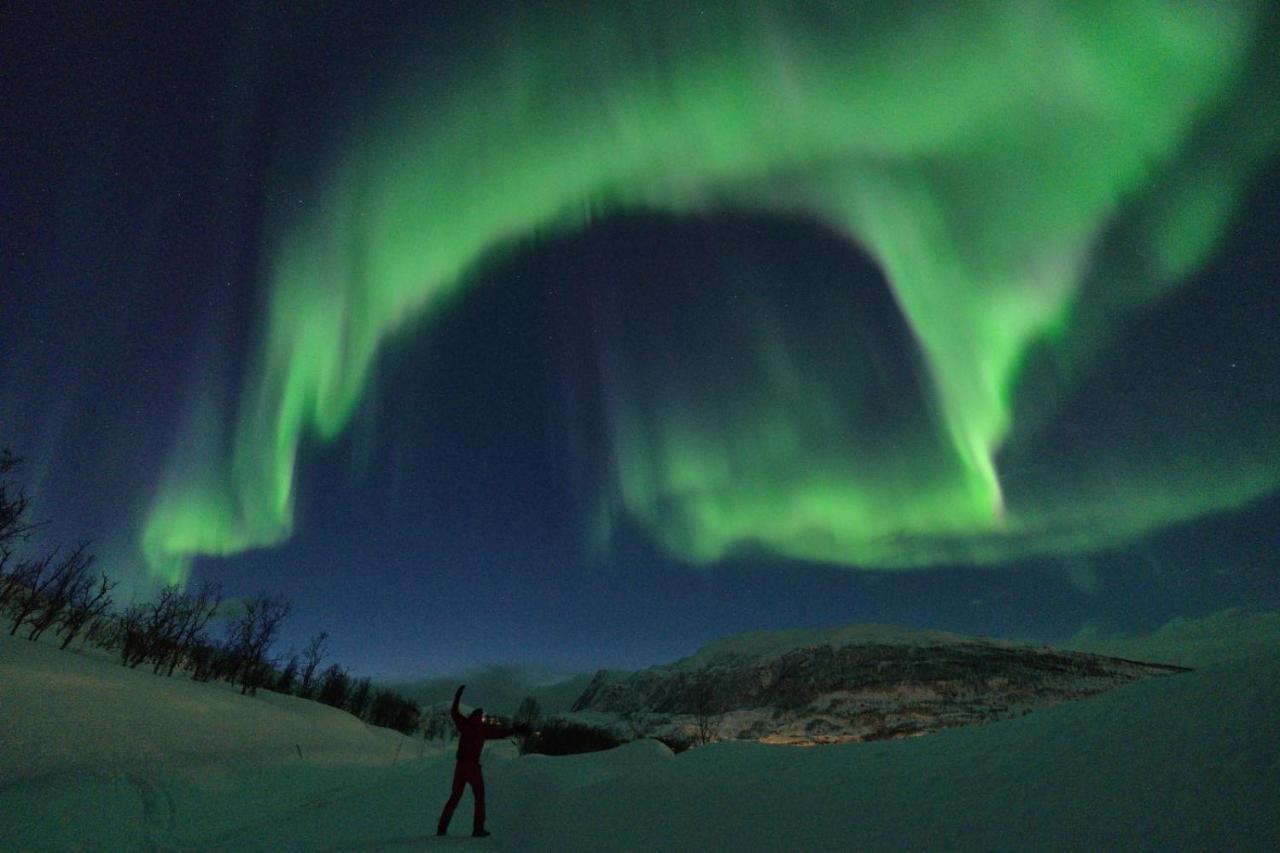 Appartamento Maribell Sjobuer As Tromsø Esterno foto